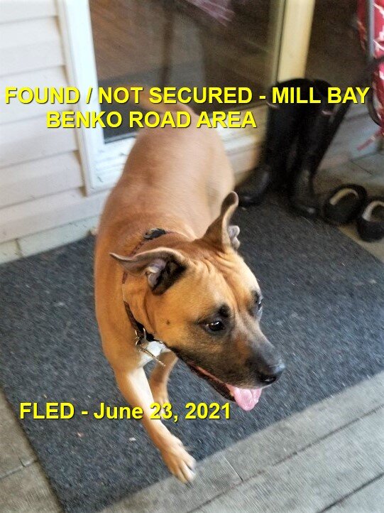 HAPPY ENDINGS - MILL BAY BC - JUNE 23, 2021