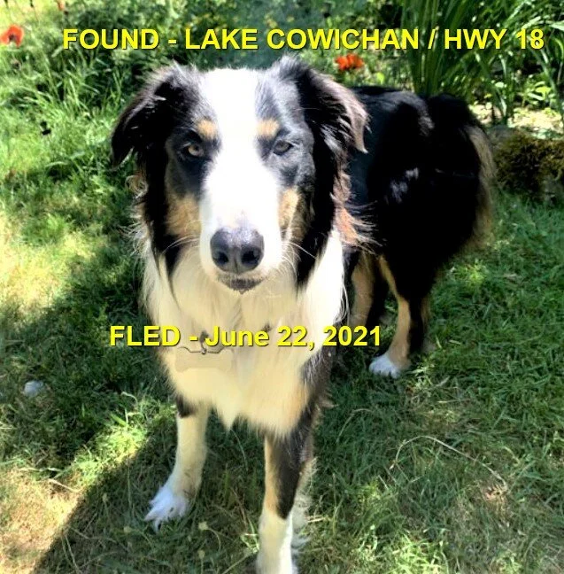 HAPPY ENDINGS - LAKE COWICHAN BC - JUNE 22, 2021