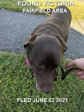 HAPPY ENDINGS - VICTORIA BC - JUNE 22, 2021