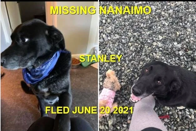 HAPPY ENDINGS - NANAIMO BC - STANLEY - JUNE 19, 2021