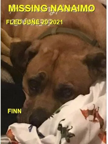 HAPPY ENDINGS - NANAIMO BC - FINN - JUNE 19, 2021