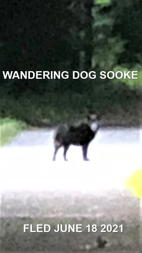 UNRESOLVED - SOOKE BC - JUNE 18, 2021