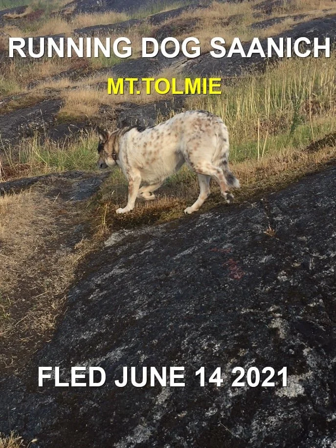 UNRESOLVED - MT. TOLMIE - SAANICH BC - JUNE 14, 2021
