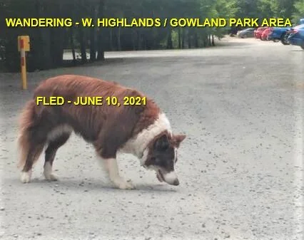 UNRESOLVED - HIGHLANDS BC - JUNE 10, 2021