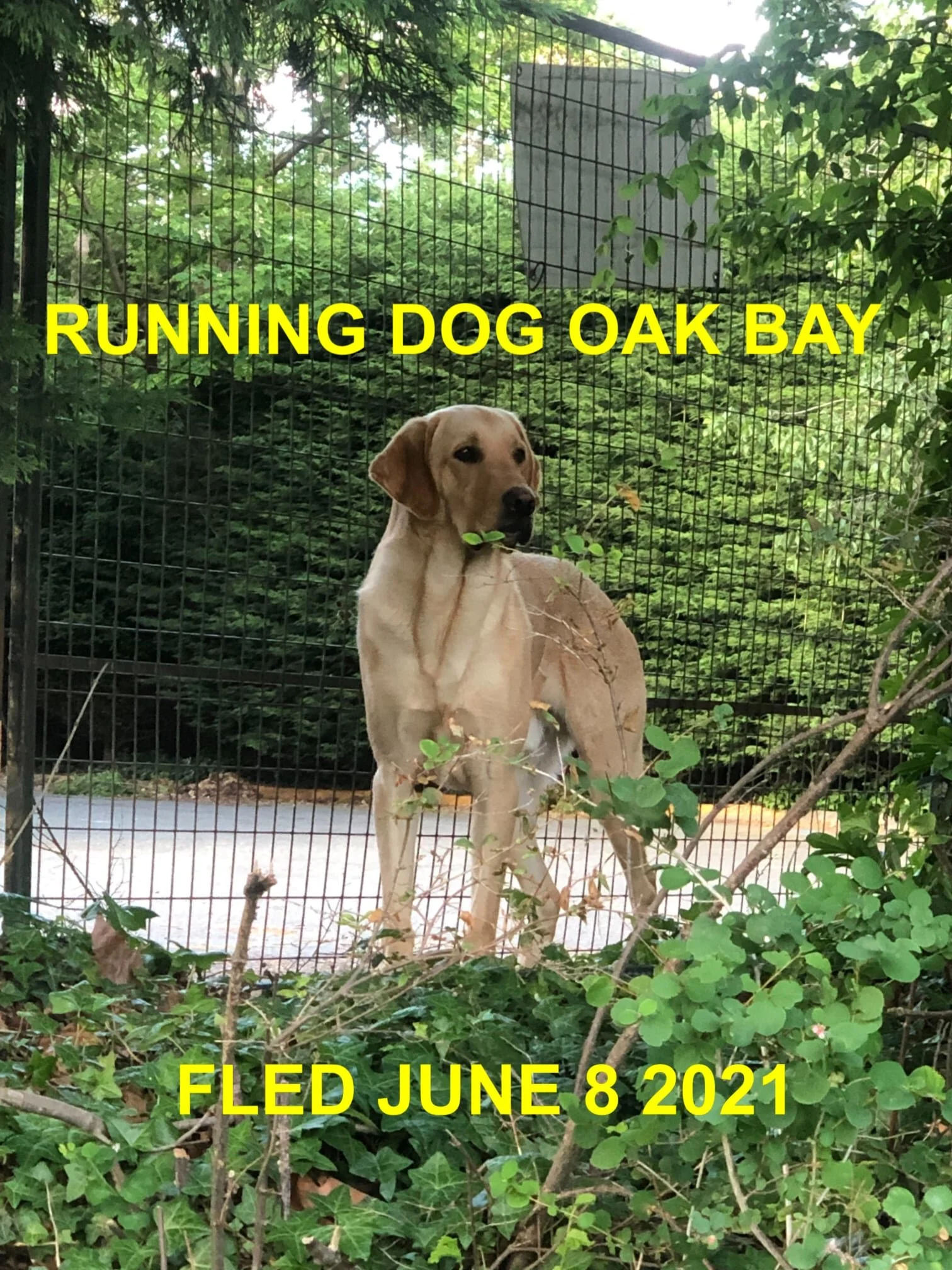 UNRESOLVED - VICTORIA / OAK BAY BC - JUNE 8, 2021