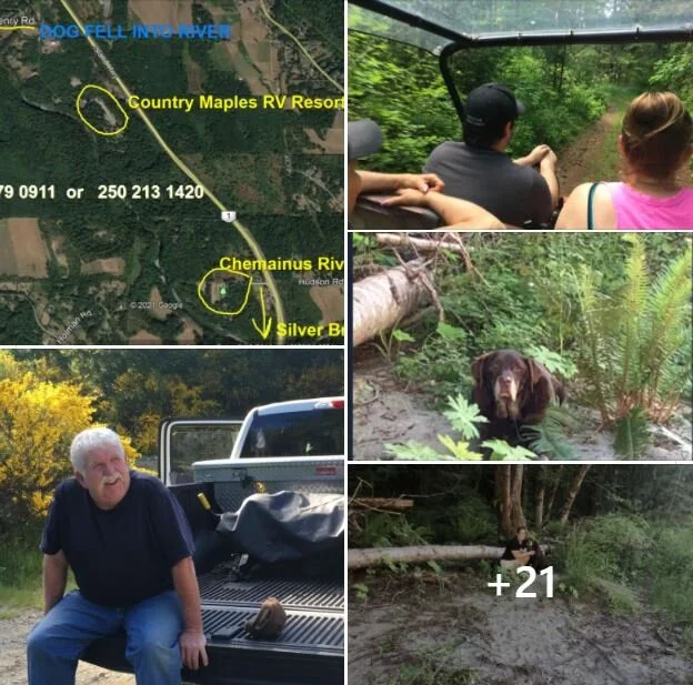 VERY HAPPY ENDINGS - CHEMAINUS - IZZY - JUNE 3, 2021