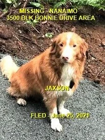 HAPPY ENDINGS - NANAIMO BC - JUNE 25, 2021