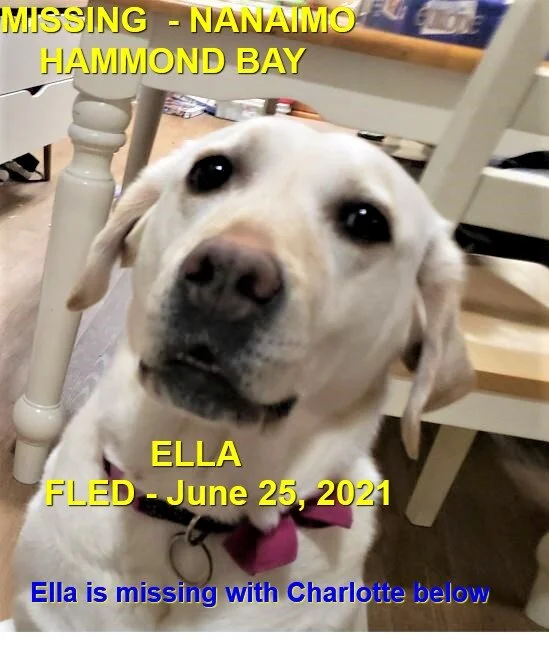 HAPPY ENDINGS - NANAIMO BC - ELLA - JUNE 25, 2021