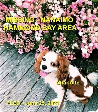 HAPPY ENDINGS - NANAIMO BC - CHARLOTTE - JUNE 25, 2021