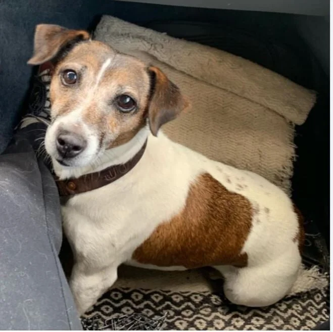 COURTESY POST - MAPLE RIDGE BC. - JORDAN / OCTOBER 17, 2020