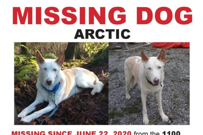 STILL MISSING - OLIVER BC - ARTIC - JUNE 22, 2020
