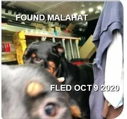 HAPPY ENDINGS - MALAHAT BC - OCTOBER 9, 2020