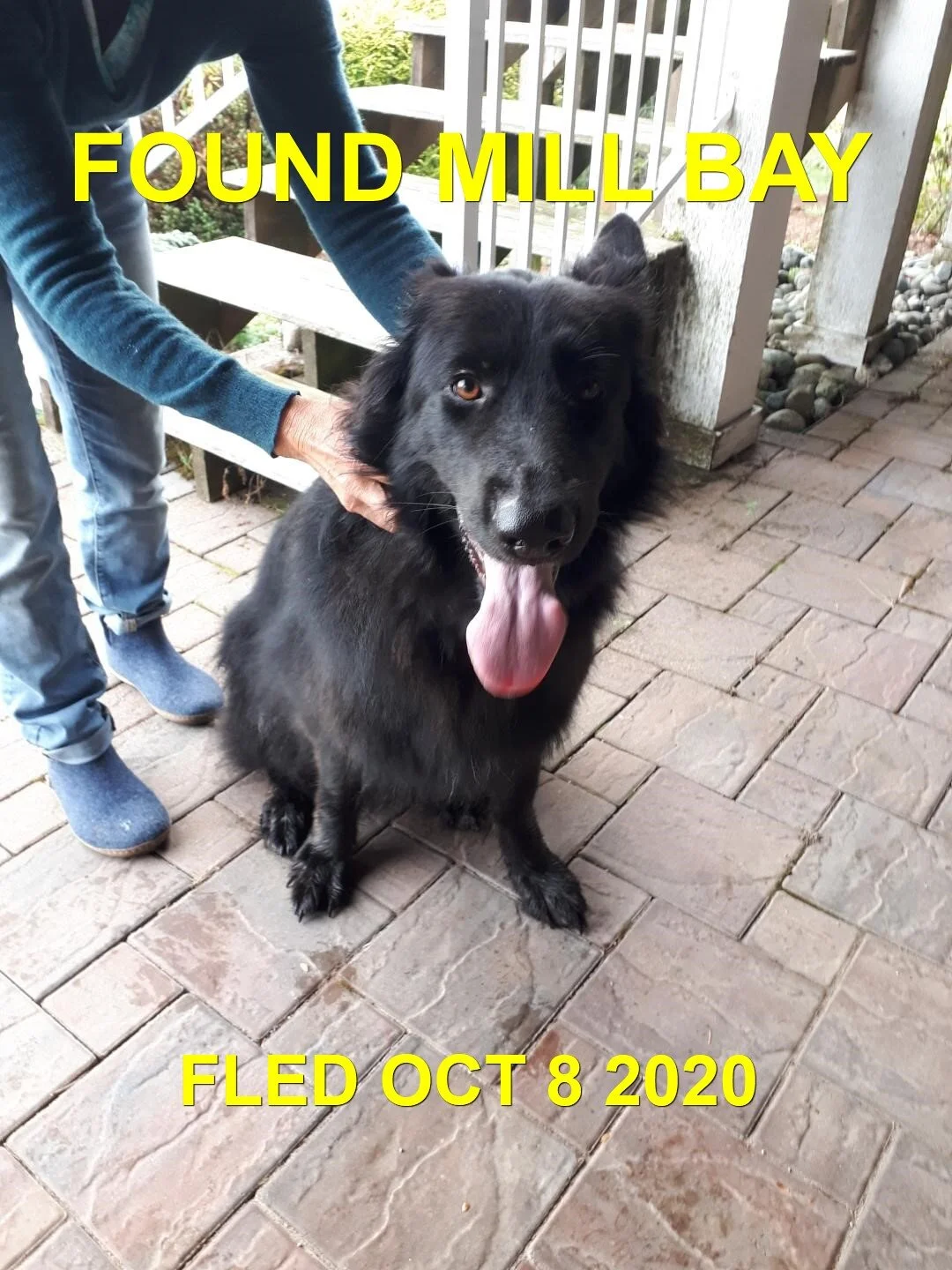 HAPPY ENDINGS - MILL BAY BC - OCTOBER 8, 2020