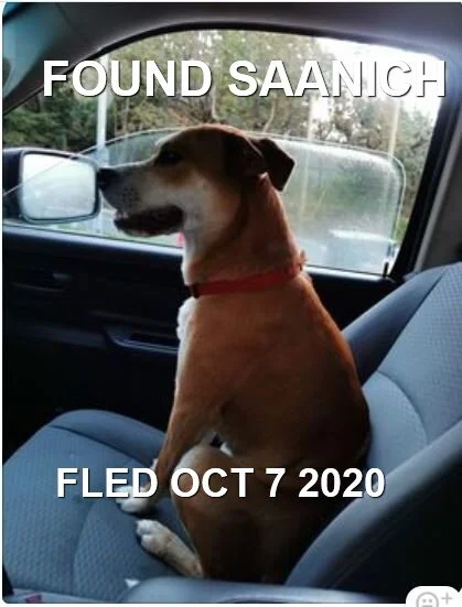 HAPPY ENDINGS - SAANICH BC - OCTOBER 7, 2020