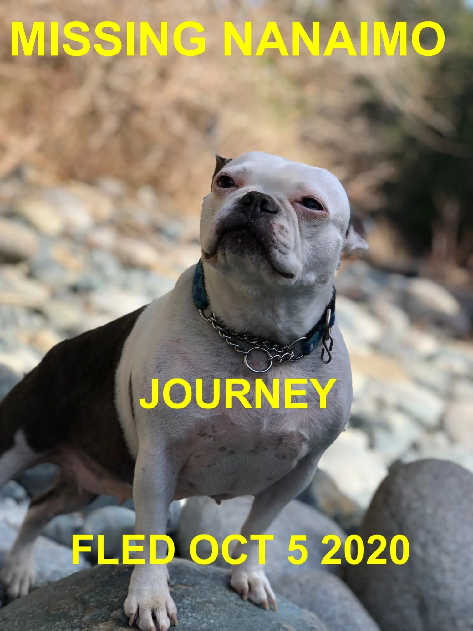 HAPPY ENDINGS - NANAIMO BC - JOURNEY - OCTOBER 5, 2020