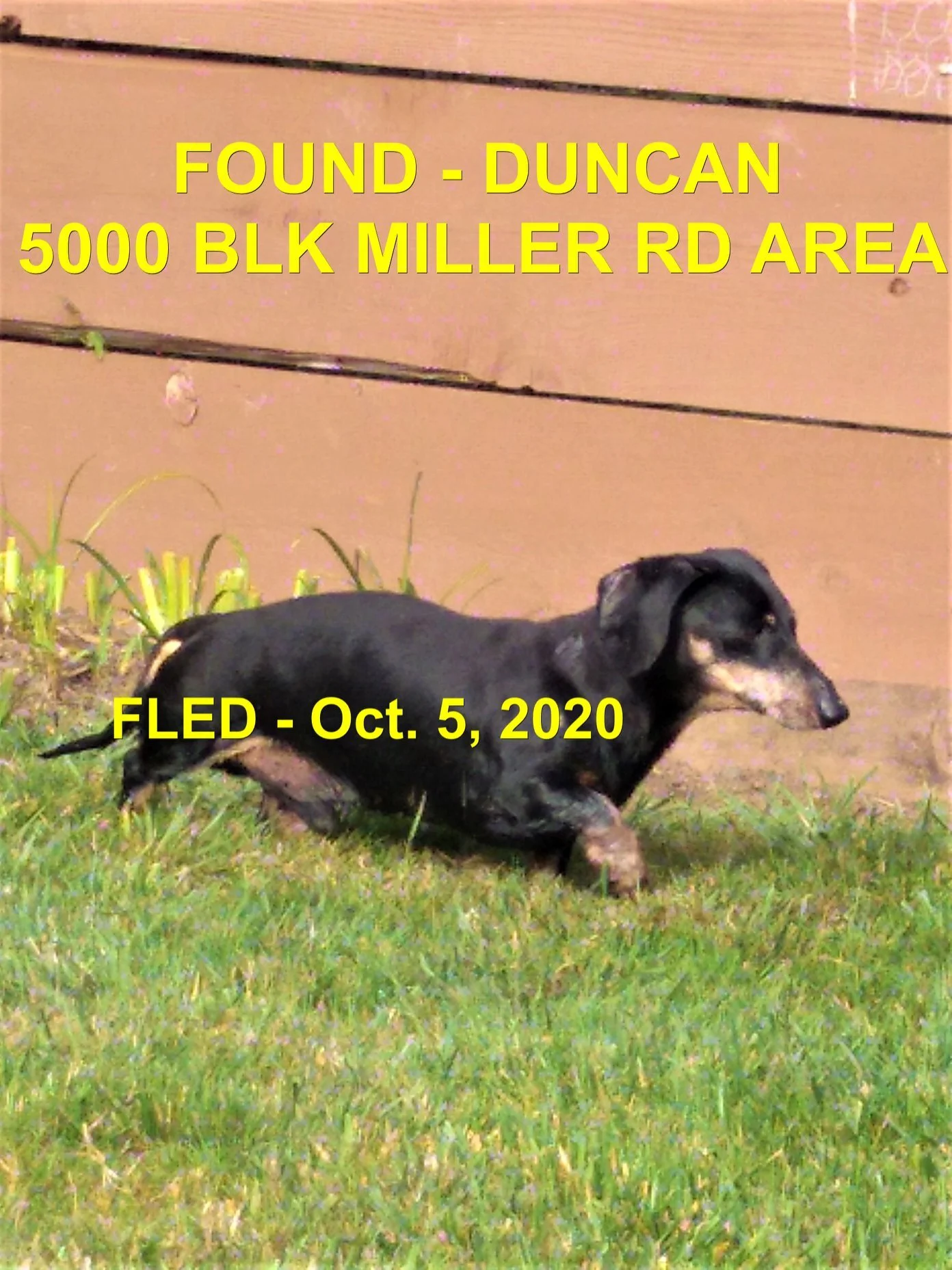 HAPPY ENDINGS - DUNCAN BC - OCTOBER 5, 2020