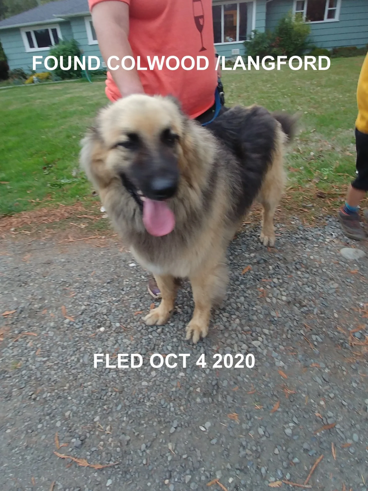 HAPPY ENDINGS - COLWOOD BC - OCTOBER 4, 2020