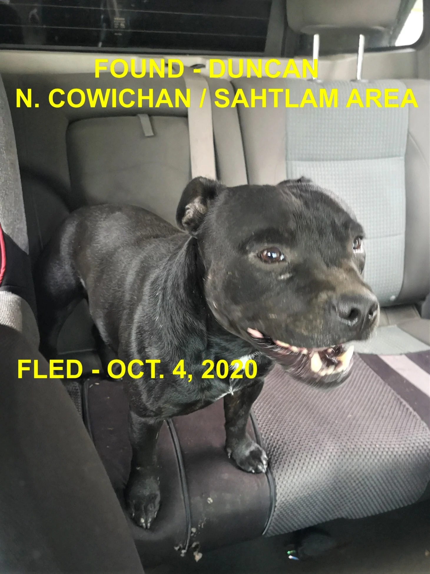 HAPPY ENDINGS - NORTH COWICHAN BC - OCTOBER 4, 2020