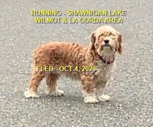 UNRESOLVED - SHAWNIGAN LAKE BC - OCTOBER 4, 2020