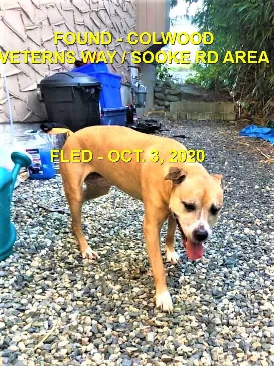 UNRESOLVED - COLWOOD BC - OCTOBER 3, 2020