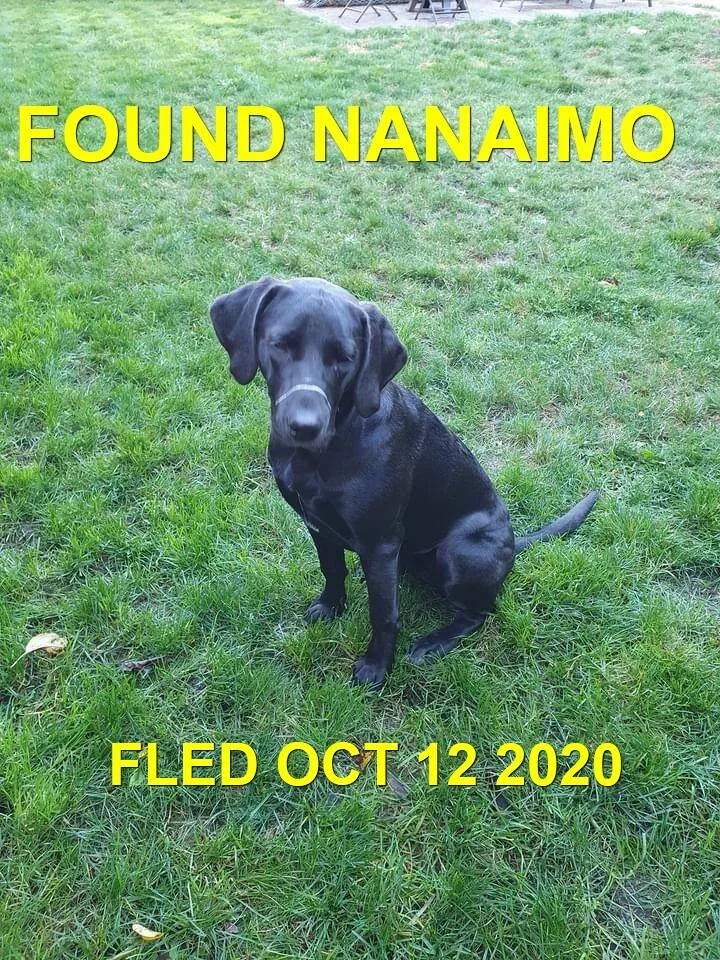 HAPPY ENDINGS - NANAIMO BC - OCTOBER 12, 2020