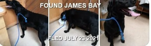 HAPPY ENDINGS - VICTORIA BC / JAMES BAY - JULY 23, 2021