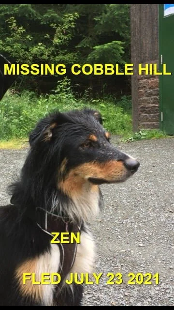 HAPPY ENDINGS - COBBLE HILL - ZEN - JULY 23, 2021