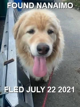 HAPPY ENDINGS - NANAIMO BC - JULY 22, 2021