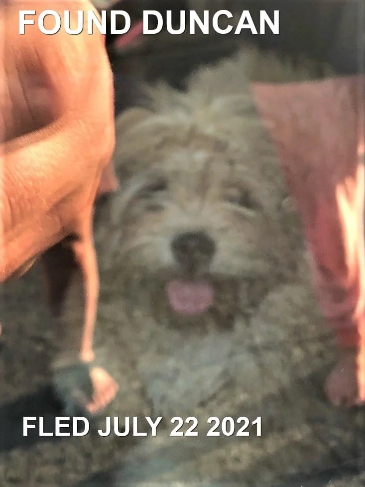 HAPPY ENDINGS -DUNCAN BC - JULY 21, 2021