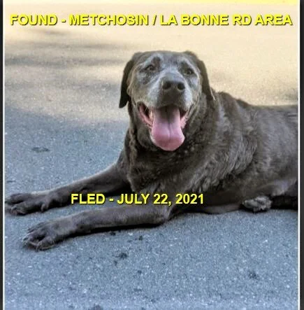 HAPPY ENDINGS - METCHOSIN BC - JULY 22, 2021