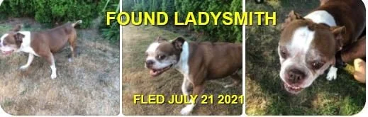 HAPPY ENDINGS - LADYSMITH BC - JULY 21, 2021