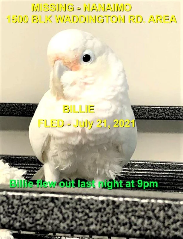 HAPPY ENDINGS - NANAIMO BC - BILLIE - JULY 20, 2021