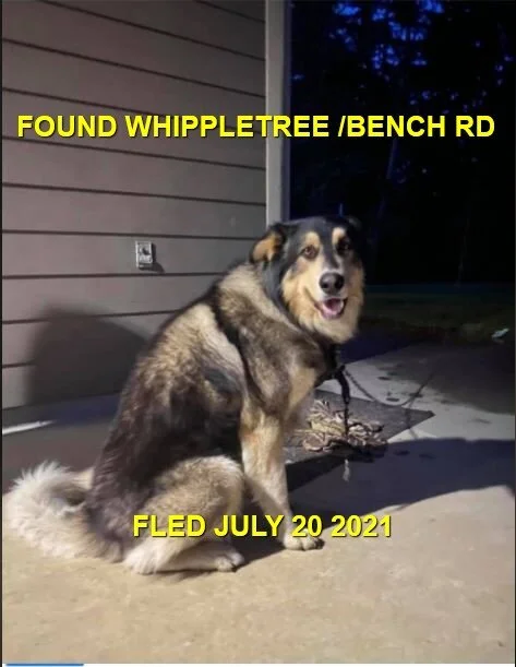 HAPPY ENDINGS - COBBLE HILL BC - JULY 20, 2021