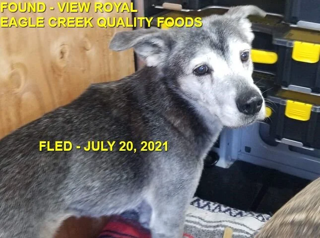 HAPPY ENDINGS - VIEW ROYAL BC - SASHA - JULY 20, 2021