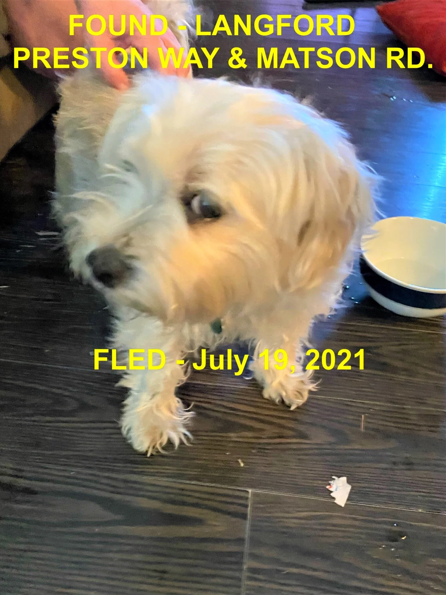 HAPPY ENDINGS - LANGFORD BC -  RUBY - JULY 19, 2021