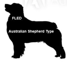 HAPPY ENDINGS - SAANICH BC - JULY 19, 2021