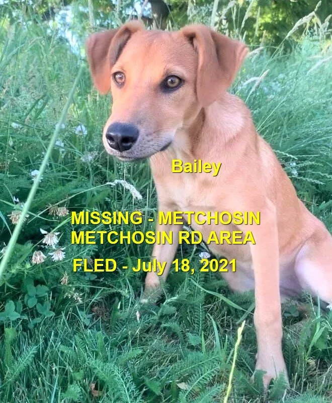 HAPPY ENDINGS - METCHOSIN BC - BAILEY - JULY 18, 2021