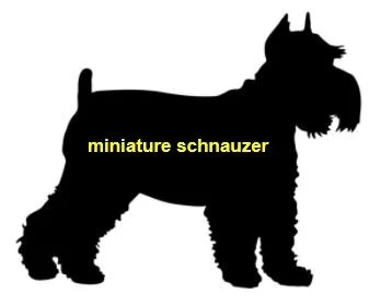 HAPPY ENDINGS - CENTRAL SAANICH BC - JULY 18, 2021