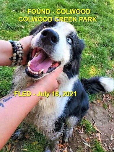 HAPPY ENDINGS - COLWOOD BC - BANJO - JULY 18, 2021