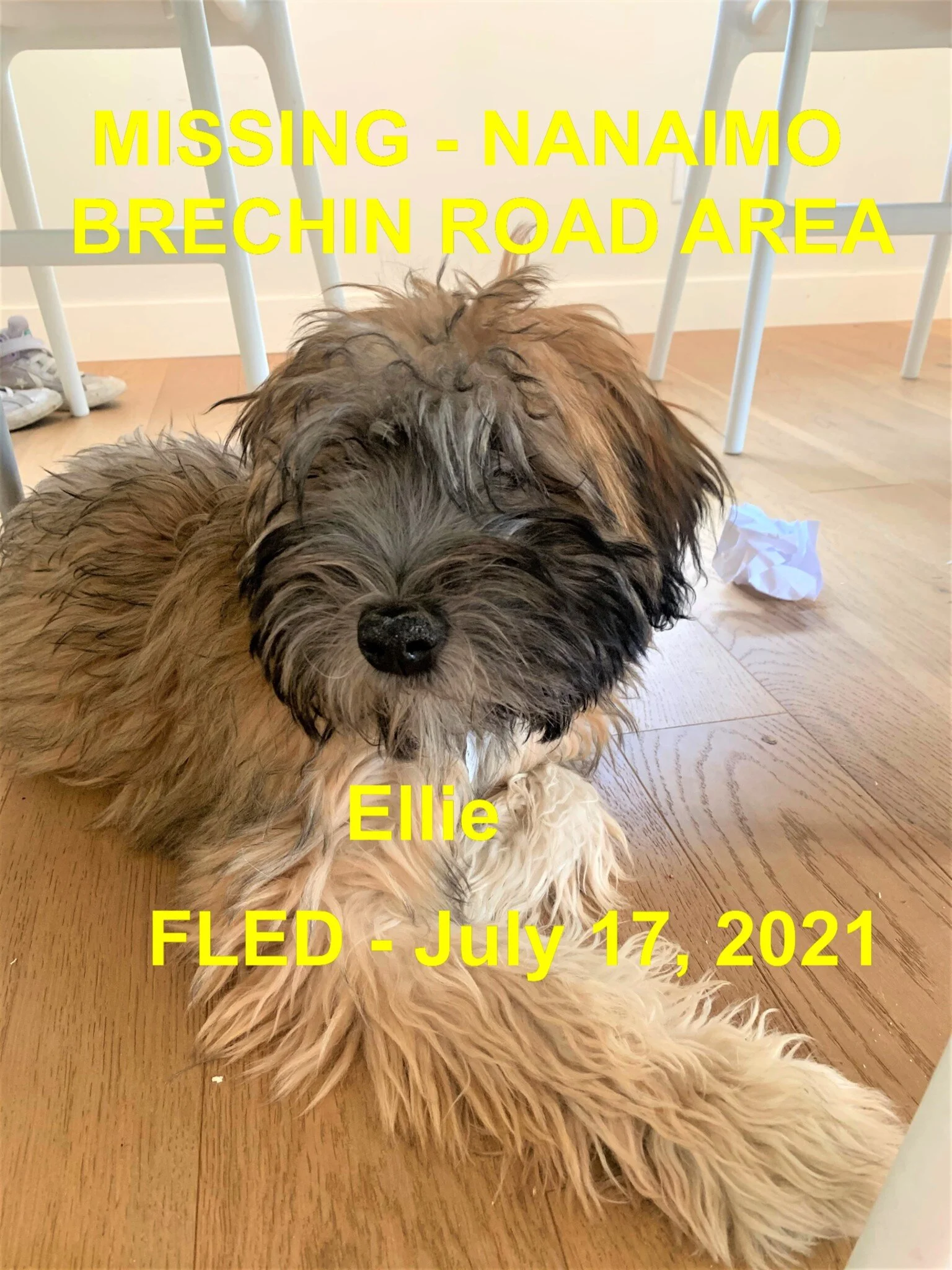 HAPPY ENDINGS - NANAIMO BC - ELLIE - JULY 17, 2021