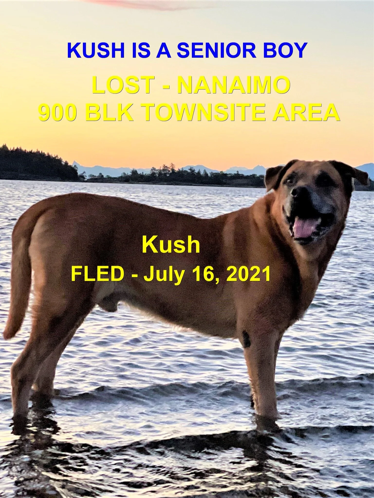 HAPPY ENDINGS - NANAIMO BC - KUSH - JULY 16, 2021