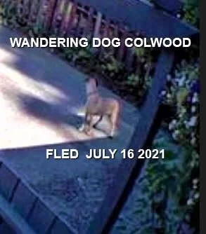 UNRESOLVED - COLWOOD BC - JULY 16, 2021