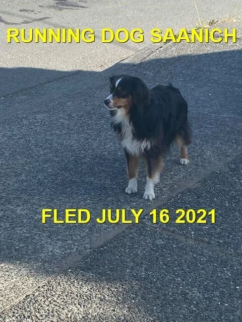 UNRESOLVED - SAANICH BC - JULY 16, 2021