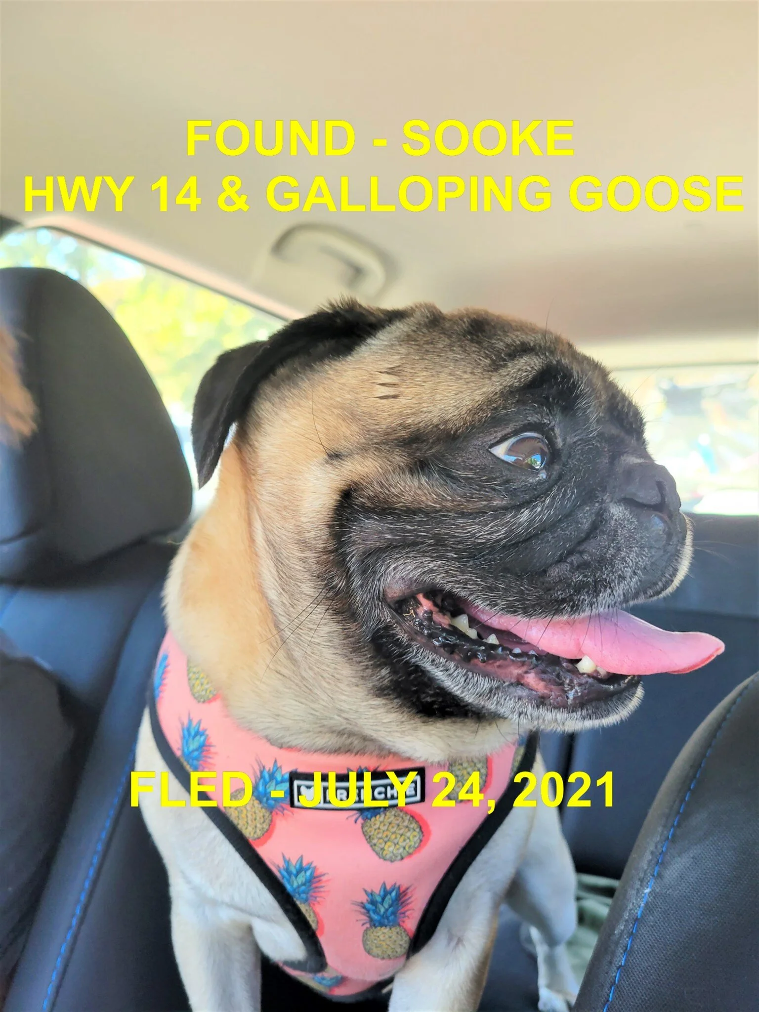 HAPPY ENDINGS - SOOKE BC - MYLO - JULY 24, 2021