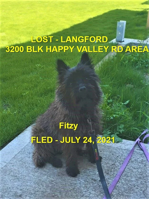 HAPPY ENDINGS - LANGFORD BC - FITZY - JULY 24, 2021