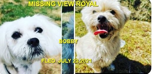 HAPPY ENDINGS - VIEW ROYAL BC - BOBBY - JULY 23, 2021