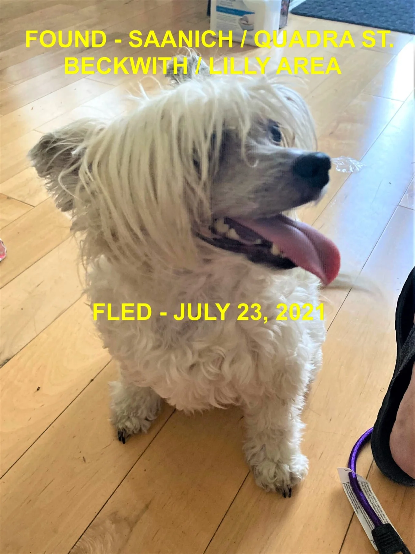 HAPPY ENDINGS - SAANICH BC - JULY 25, 2021