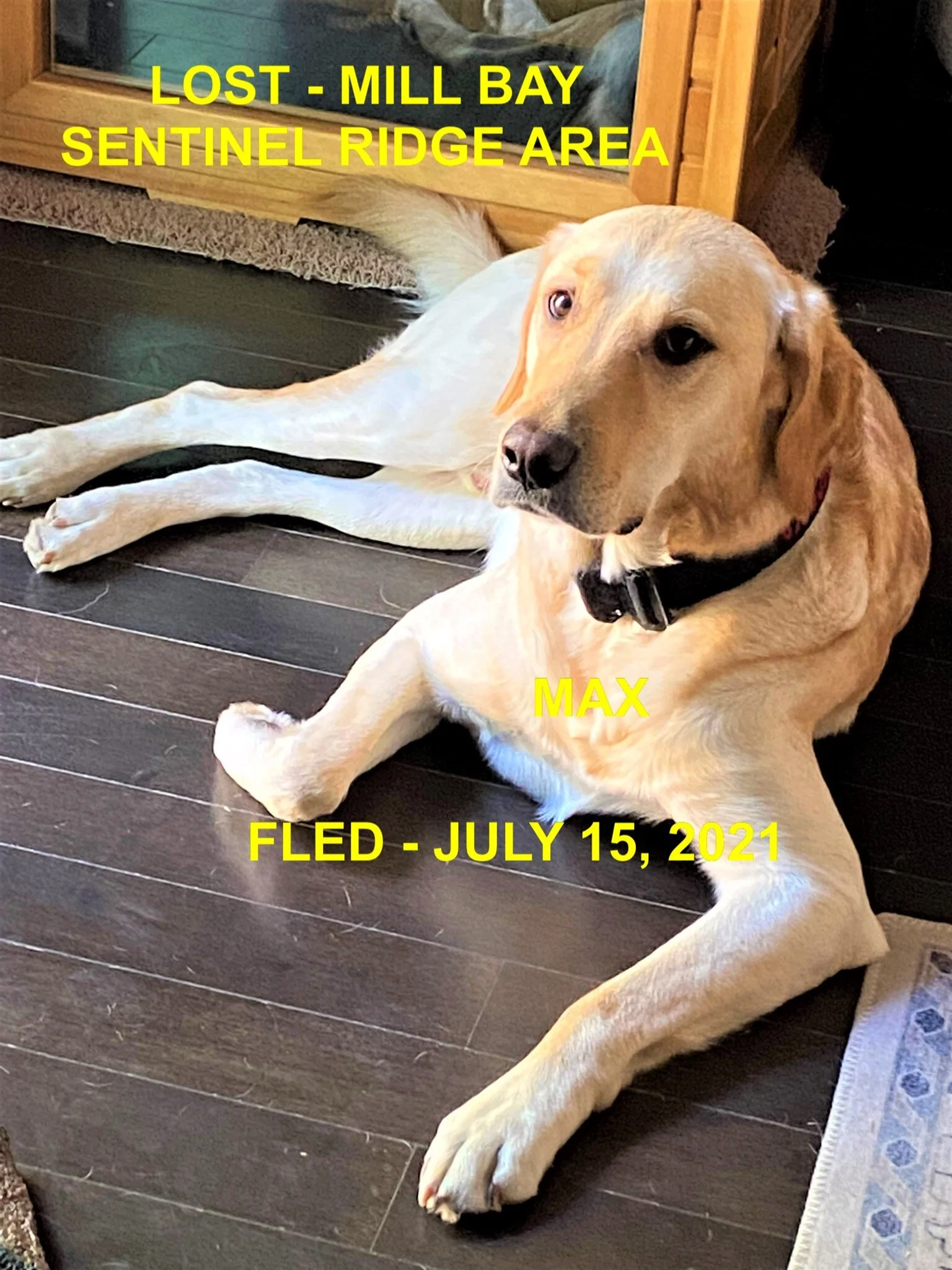 HAPPY ENDINGS - MILL BAY BC - MAX - JULY 15, 2021