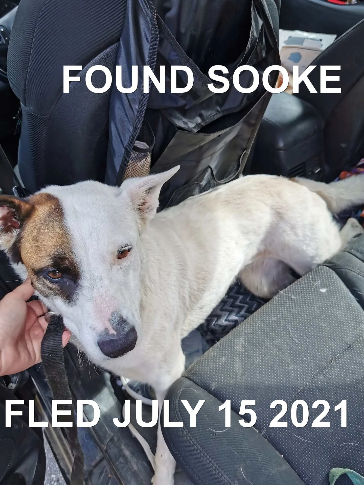 HAPPY ENDINGS - SOOKE BC - JULY 15, 2021