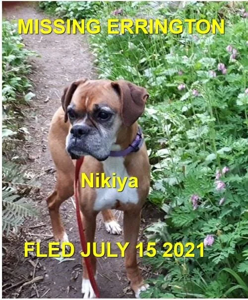 HAPPY ENDINGS -  ERRINGTON BC - NIKIYA - JULY 15, 2021